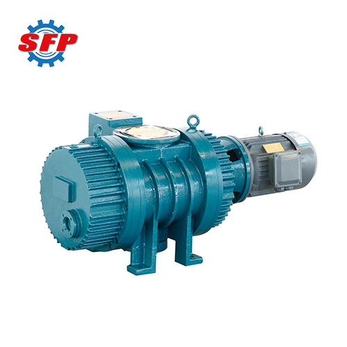 High Quality Roots Vacuum Pump